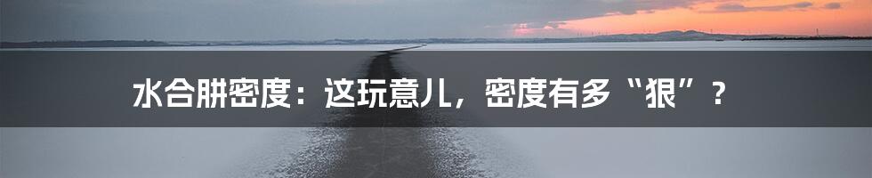 水合肼密度:这玩意儿,密度有多“狠”?