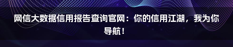 网信大数据信用报告查询官网:你的信用江湖,我为你导航!