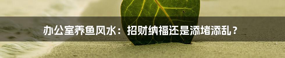 办公室养鱼风水:招财纳福还是添堵添乱?