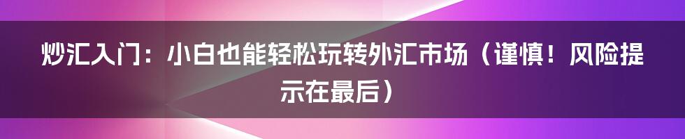 炒汇入门:小白也能轻松玩转外汇市场(谨慎!风险提示在最后)