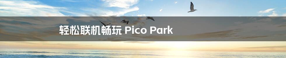 轻松联机畅玩 Pico Park