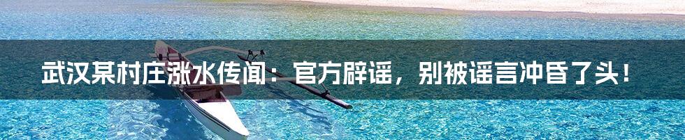 武汉某村庄涨水传闻:官方辟谣,别被谣言冲昏了头!