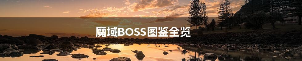 魔域BOSS图鉴全览
