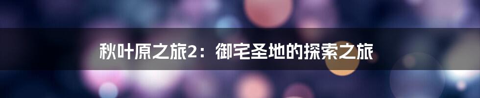 秋叶原之旅2:御宅圣地的探索之旅