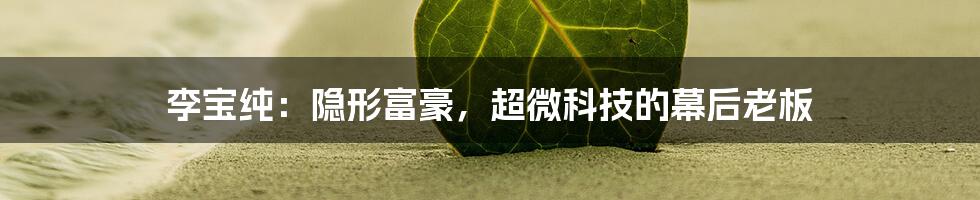 李宝纯:隐形富豪,超微科技的幕后老板