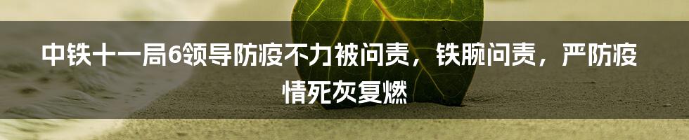 中铁十一局6领导防疫不力被问责,铁腕问责,严防疫情死灰复燃