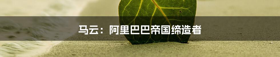 马云:阿里巴巴帝国缔造者