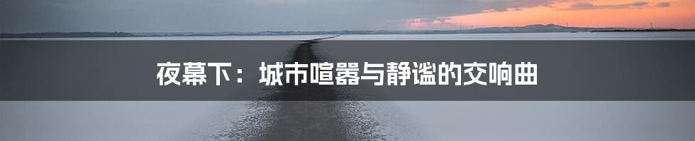 夜幕下:城市喧嚣与静谧的交响曲