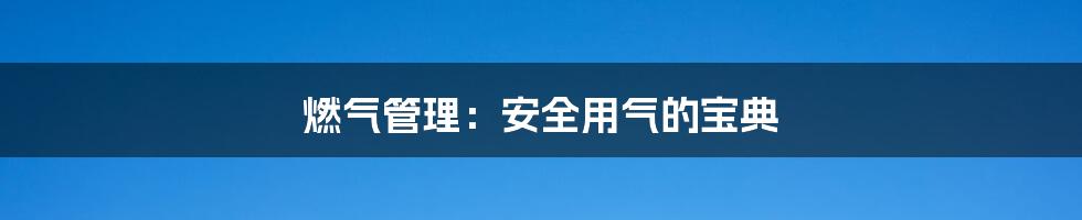 燃气管理:安全用气的宝典