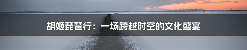 胡姬琵琶行:一场跨越时空的文化盛宴