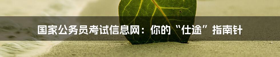 国家公务员考试信息网:你的“仕途”指南针