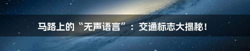 马路上的“无声语言”:交通标志大揭秘!