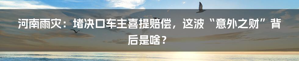 河南雨灾:堵决口车主喜提赔偿,这波“意外之财”背后是啥?