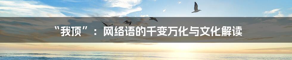 “我顶”:网络语的千变万化与文化解读