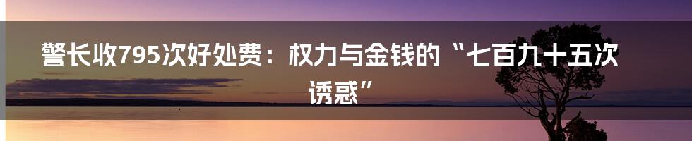 警长收795次好处费:权力与金钱的“七百九十五次诱惑”