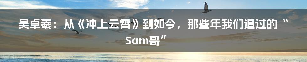 吴卓羲:从《冲上云霄》到如今,那些年我们追过的“Sam哥”