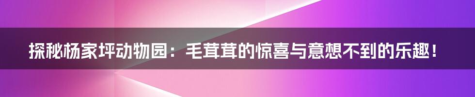 探秘杨家坪动物园:毛茸茸的惊喜与意想不到的乐趣!