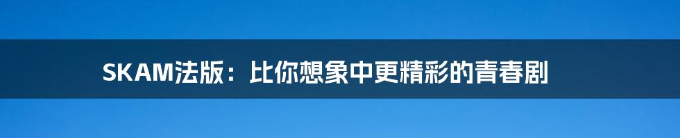 SKAM法版:比你想象中更精彩的青春剧