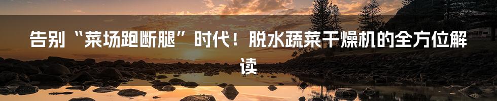 告别“菜场跑断腿”时代!脱水蔬菜干燥机的全方位解读