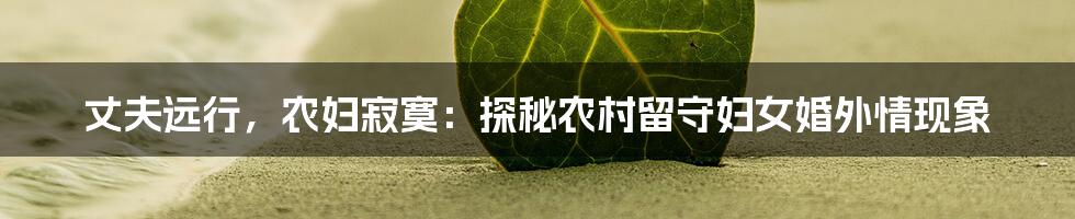 丈夫远行,农妇寂寞:探秘农村留守妇女婚外情现象