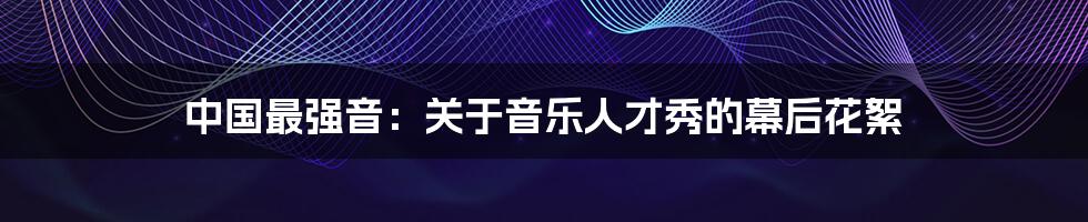 中国最强音:关于音乐人才秀的幕后花絮