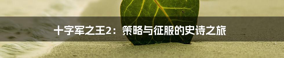 十字军之王2:策略与征服的史诗之旅