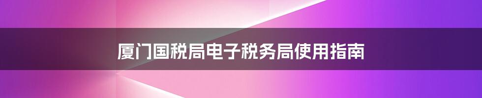 厦门国税局电子税务局使用指南