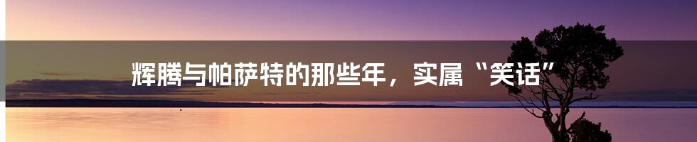 辉腾与帕萨特的那些年，实属“笑话”