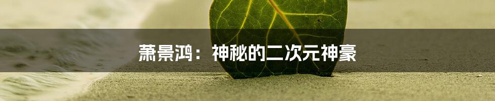 萧景鸿:神秘的二次元神豪