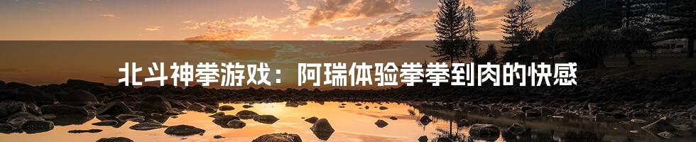 北斗神拳游戏:阿瑞体验拳拳到肉的快感