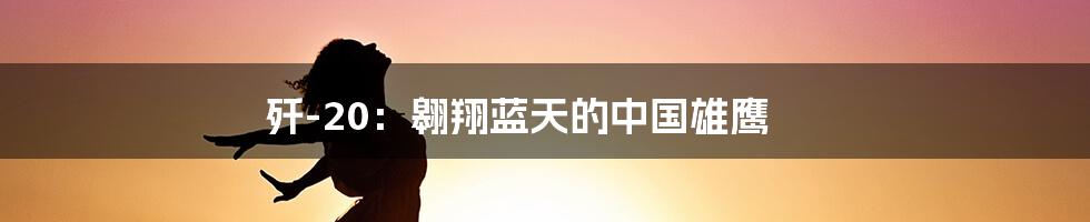 歼-20:翱翔蓝天的中国雄鹰