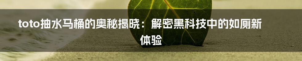 toto抽水马桶的奥秘揭晓：解密黑科技中的如厕新体验