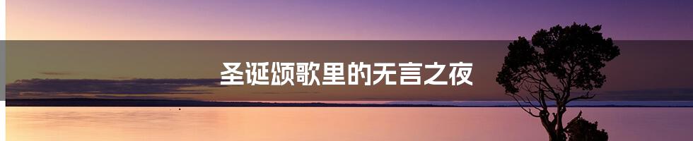 圣诞颂歌里的无言之夜