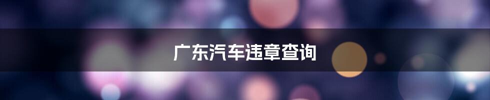广东汽车违章查询