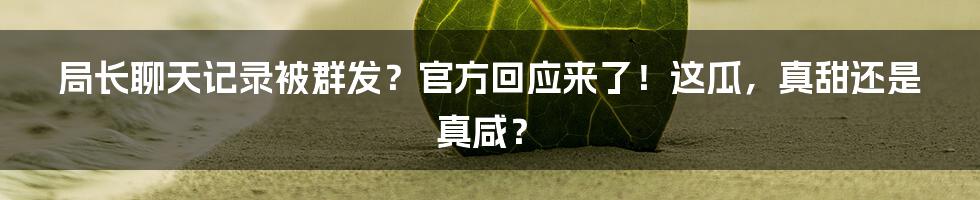 局长聊天记录被群发?官方回应来了!这瓜,真甜还是真咸?
