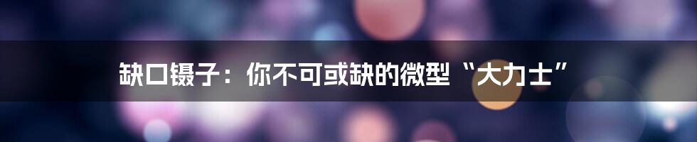 缺口镊子:你不可或缺的微型“大力士”