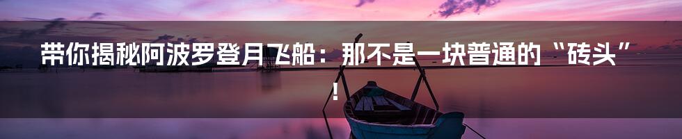 带你揭秘阿波罗登月飞船:那不是一块普通的“砖头”!