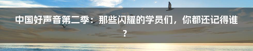 中国好声音第二季:那些闪耀的学员们,你都还记得谁?