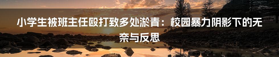 小学生被班主任殴打致多处淤青:校园暴力阴影下的无奈与反思