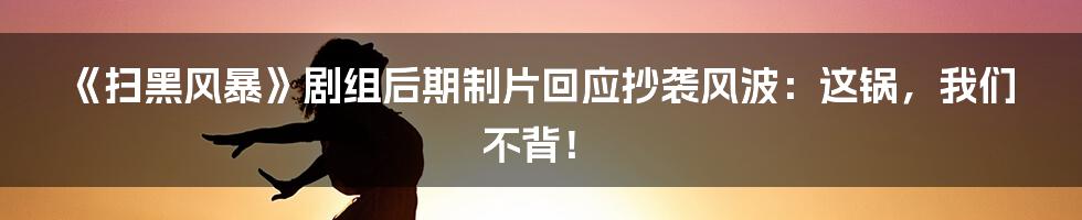 《扫黑风暴》剧组后期制片回应抄袭风波:这锅,我们不背!
