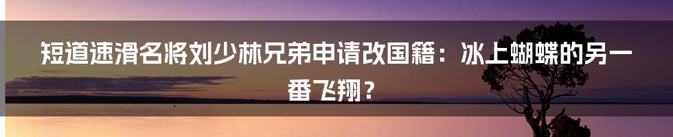 短道速滑名将刘少林兄弟申请改国籍:冰上蝴蝶的另一番飞翔?