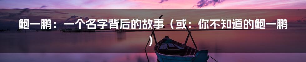 鲍一鹏:一个名字背后的故事(或:你不知道的鲍一鹏)