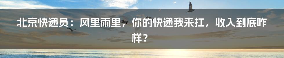 北京快递员:风里雨里,你的快递我来扛,收入到底咋样?