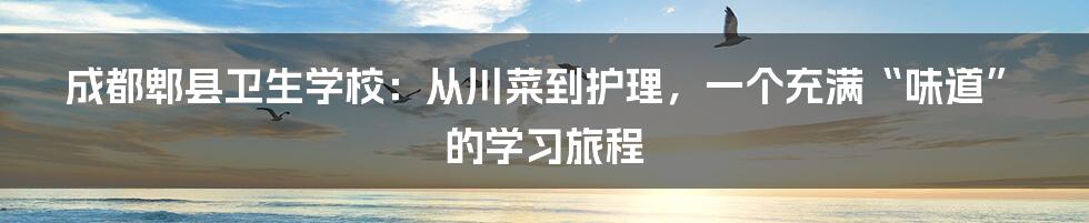 成都郫县卫生学校:从川菜到护理,一个充满“味道”的学习旅程