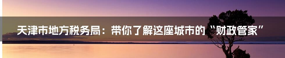 天津市地方税务局:带你了解这座城市的“财政管家”