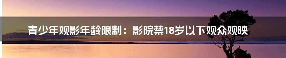 青少年观影年龄限制:影院禁18岁以下观众观映