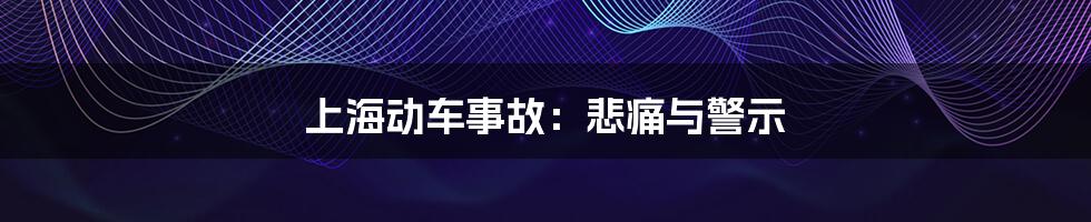 上海动车事故:悲痛与警示