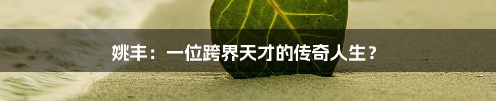 姚丰:一位跨界天才的传奇人生?