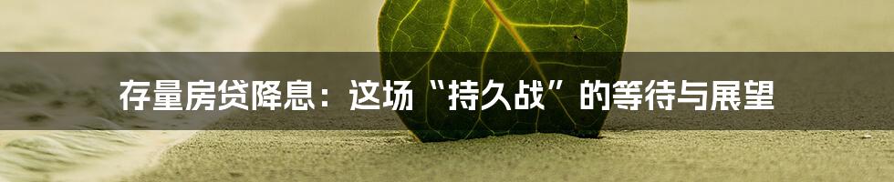 存量房贷降息:这场“持久战”的等待与展望