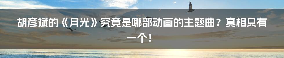 胡彦斌的《月光》究竟是哪部动画的主题曲?真相只有一个!